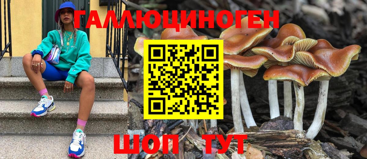 магазин  наркотиков  Псилоцибиновые грибы мухоморы  Вход с VPN  Фролово 